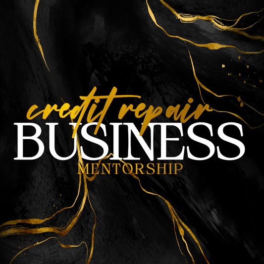 Credit Repair Business Mentorship