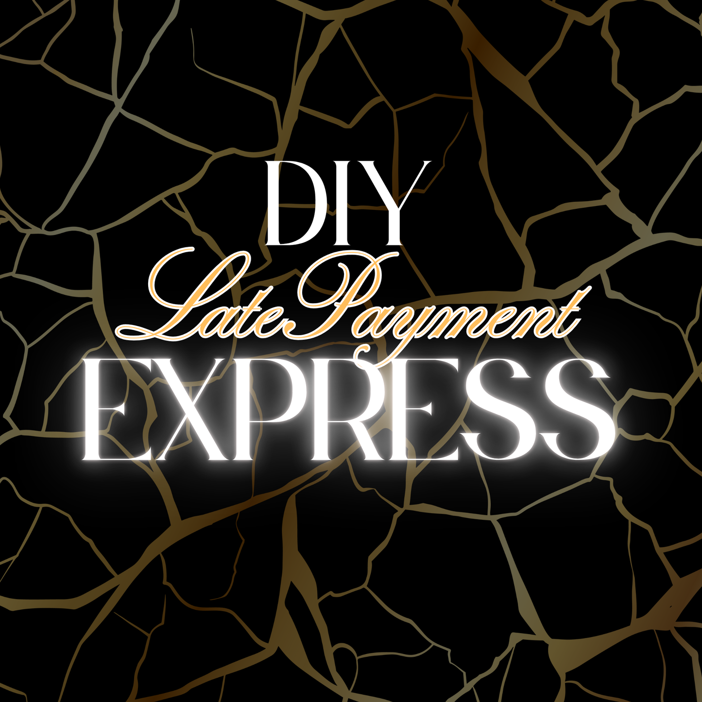 Late Payment Express – Digital Dispute Letter Template